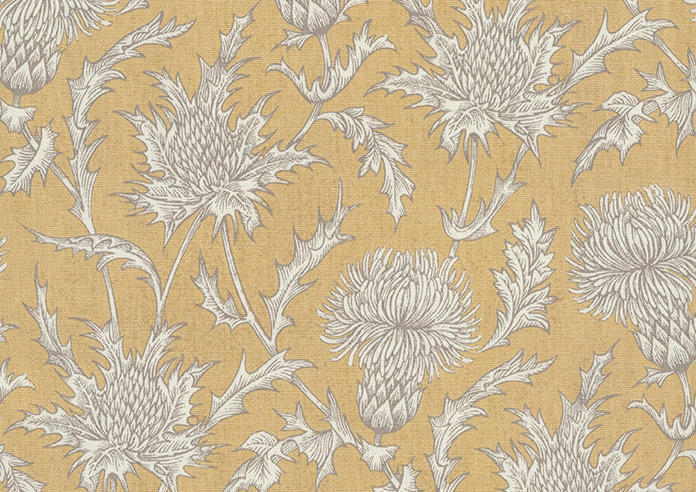 Carlina, Ochre - Roman Blind - Image 6